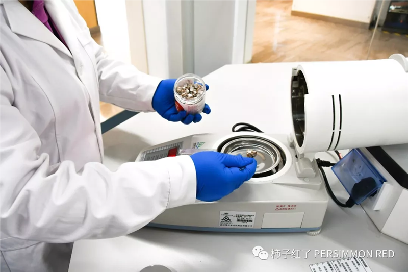 pg麻将胡了(官方)最新IOS/安卓版/手机版APP下载
