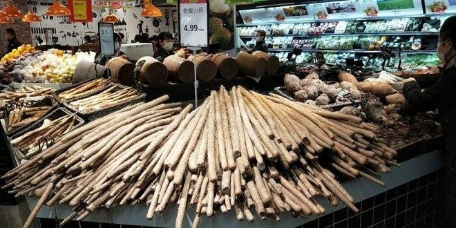 pg麻将胡了(官方)最新IOS/安卓版/手机版APP下载