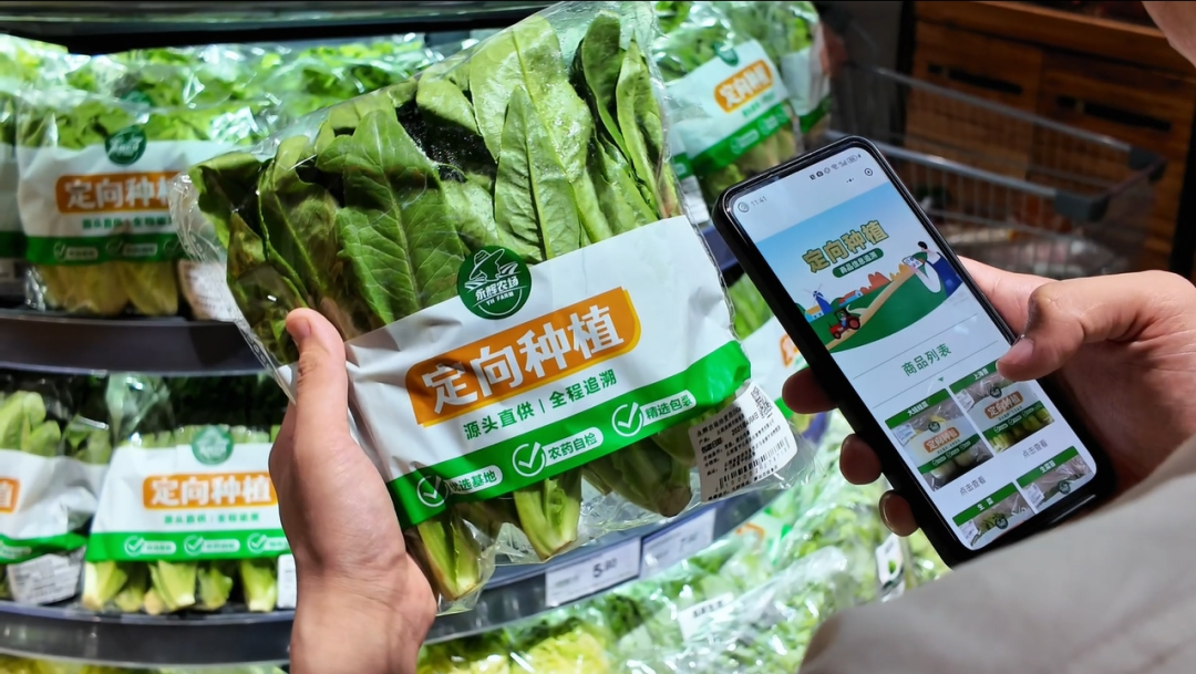 pg麻将胡了(官方)最新IOS/安卓版/手机版APP下载