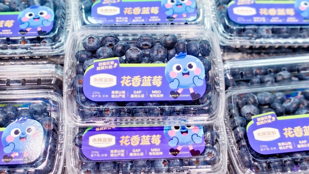 pg麻将胡了(官方)最新IOS/安卓版/手机版APP下载