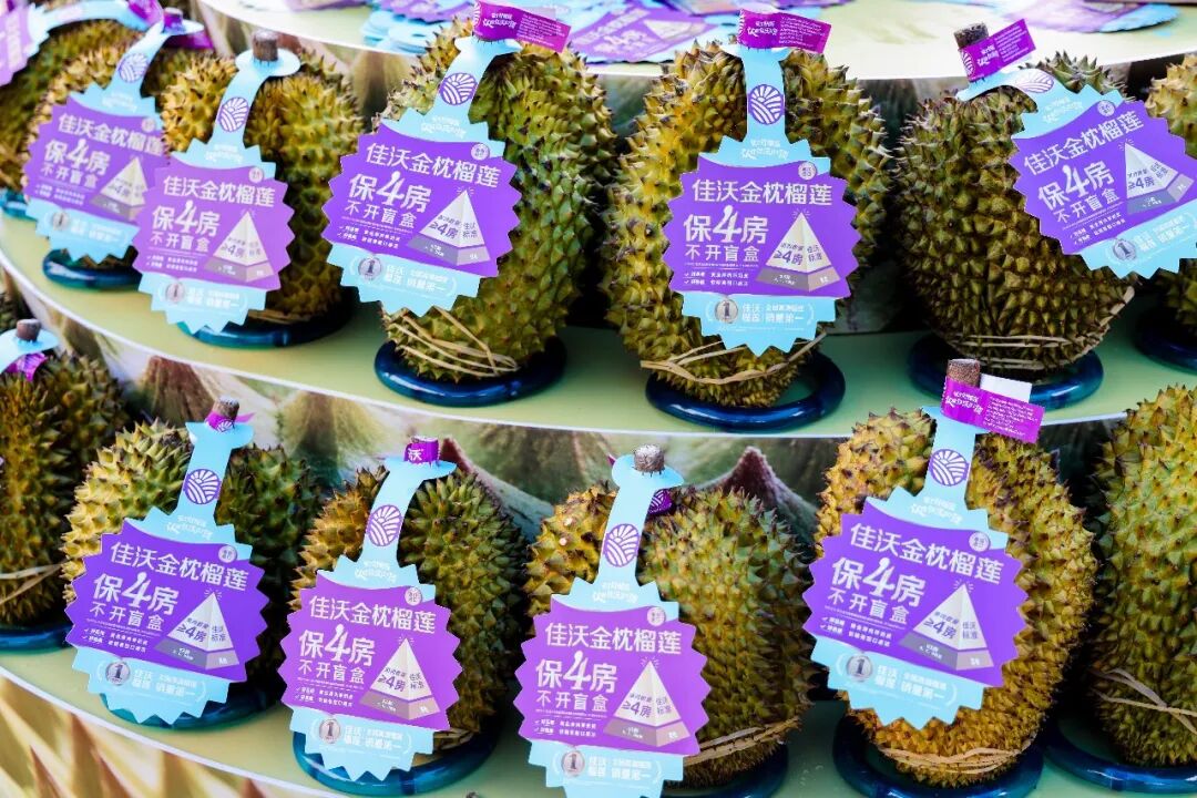 pg麻将胡了(官方)最新IOS/安卓版/手机版APP下载