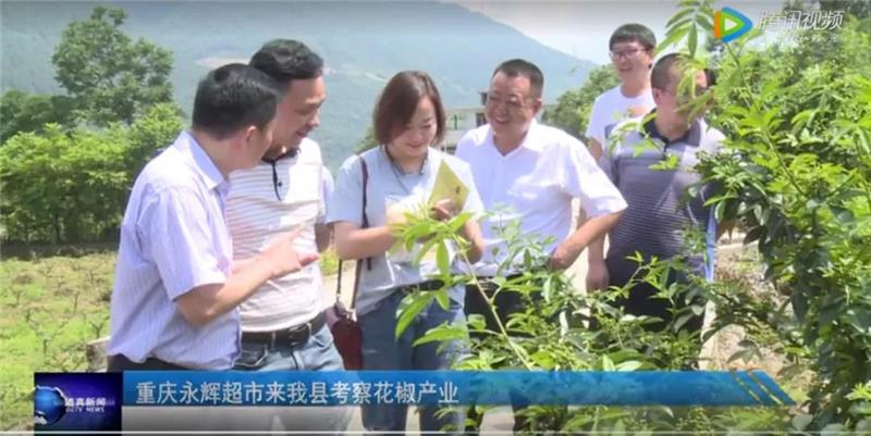 pg麻将胡了(官方)最新IOS/安卓版/手机版APP下载
