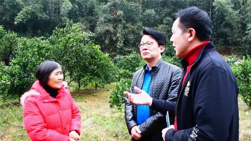 pg麻将胡了(官方)最新IOS/安卓版/手机版APP下载