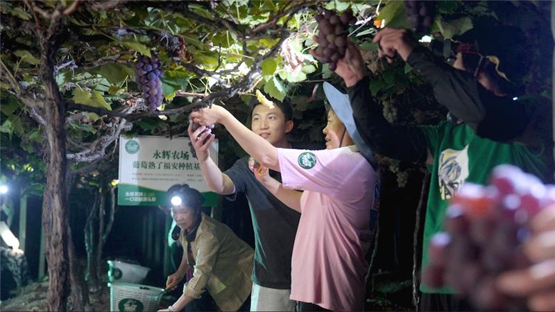 pg麻将胡了(官方)最新IOS/安卓版/手机版APP下载