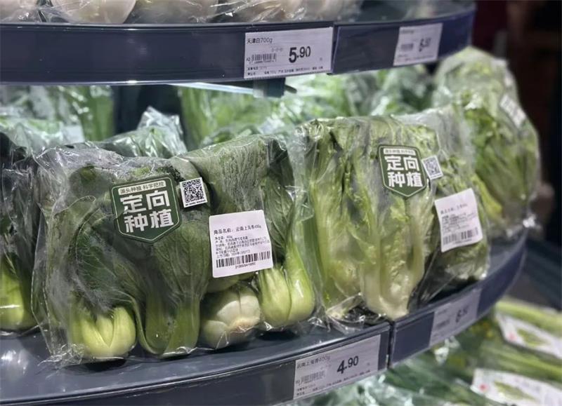 pg麻将胡了(官方)最新IOS/安卓版/手机版APP下载